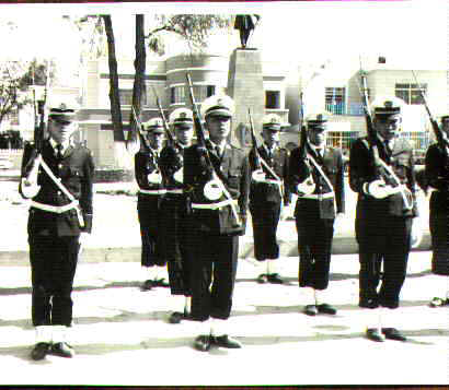 DESFILE.JPG (21043 bytes)